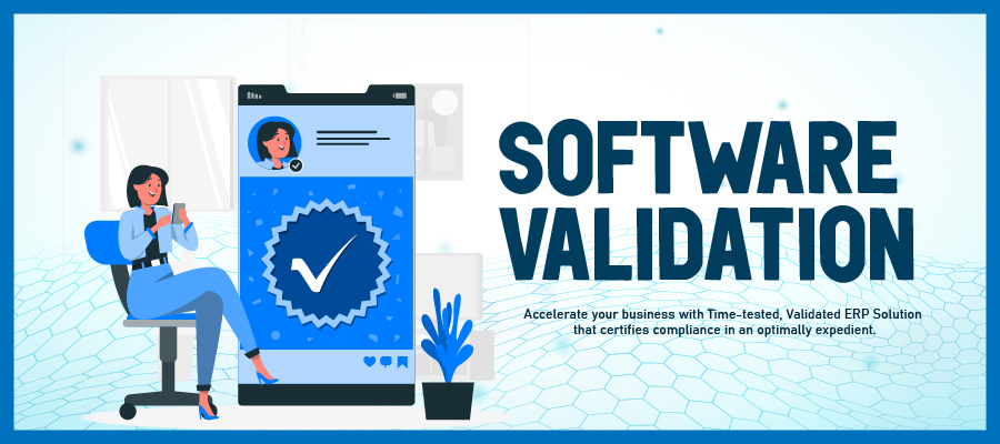 Roadmap's Software a Pre-packaged Verification and Validation Suite