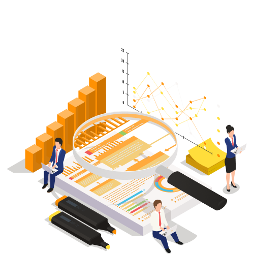roadmap erp audit