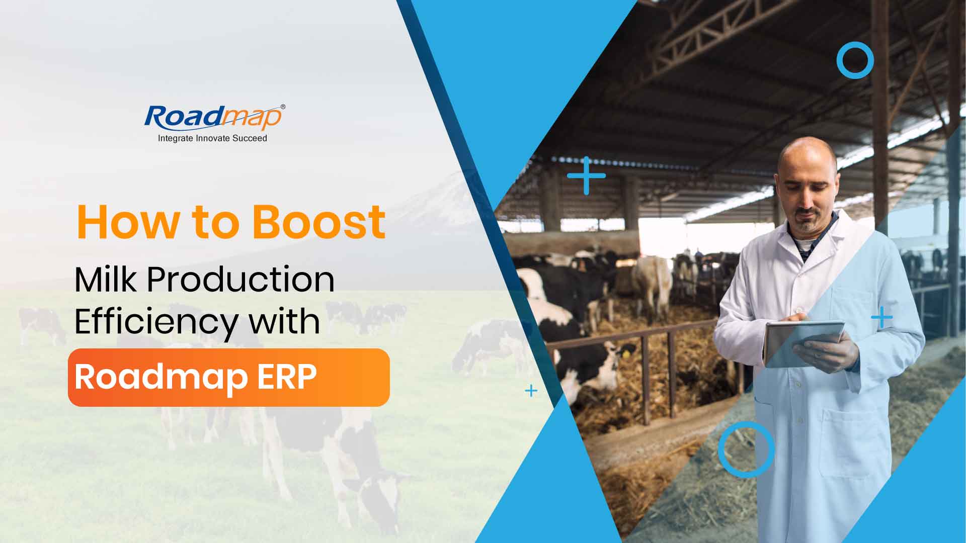 How to Boost Milk Production Efficiency with Roadmap ERP: A Game Changer